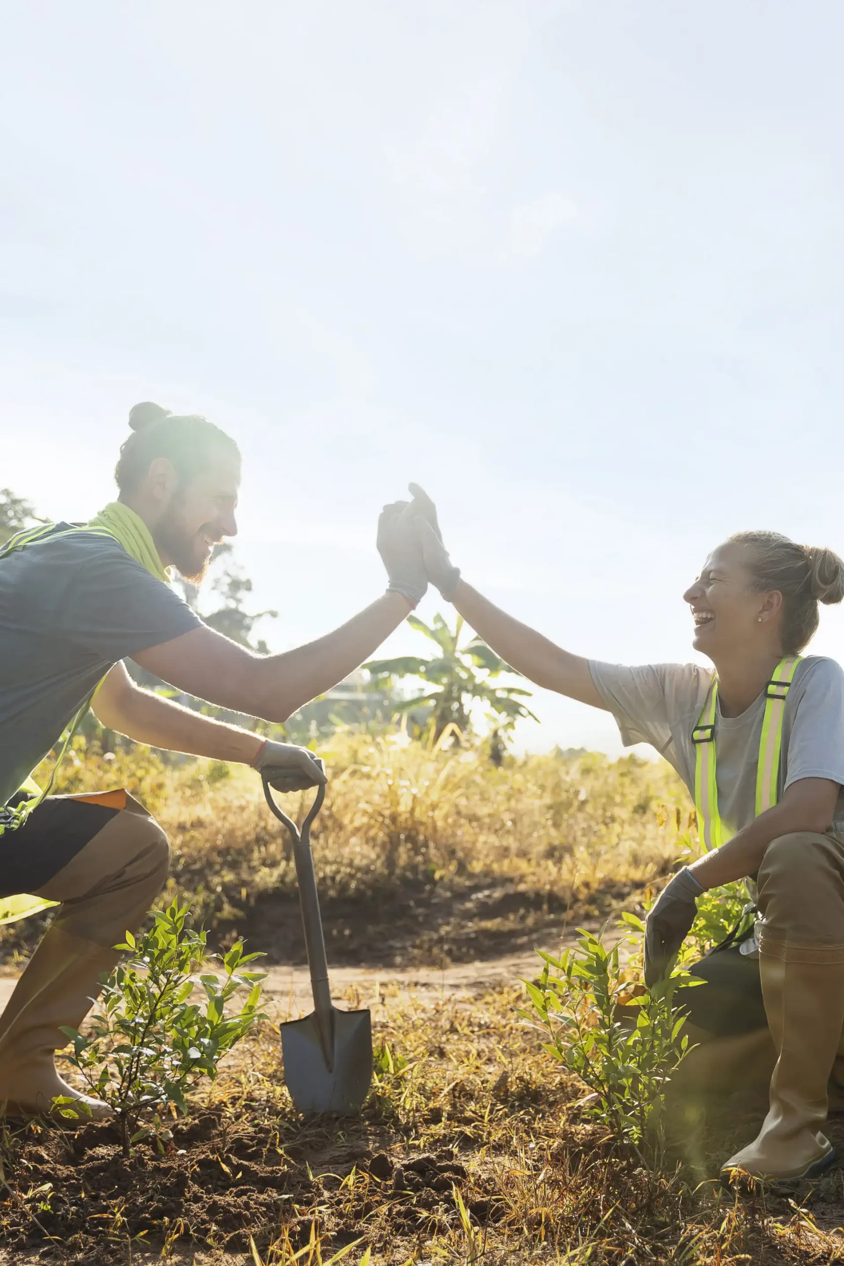 camping engagé et respecteux du territoire en auvergne