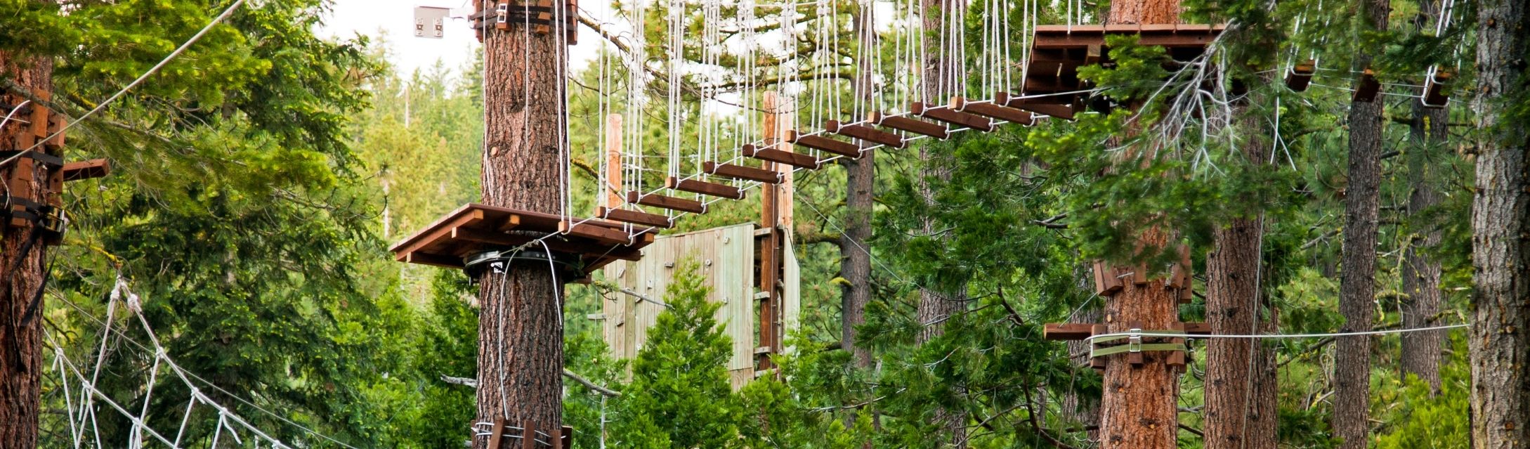 accrobranhce camping etang philippe