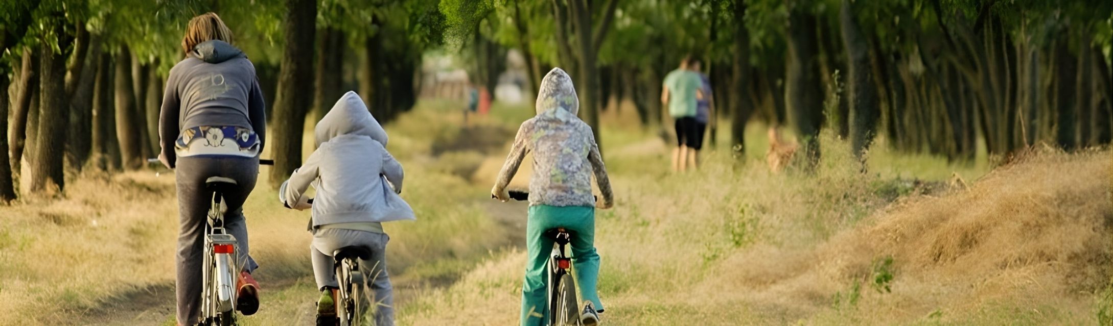 activites aux alentours letang philippe
