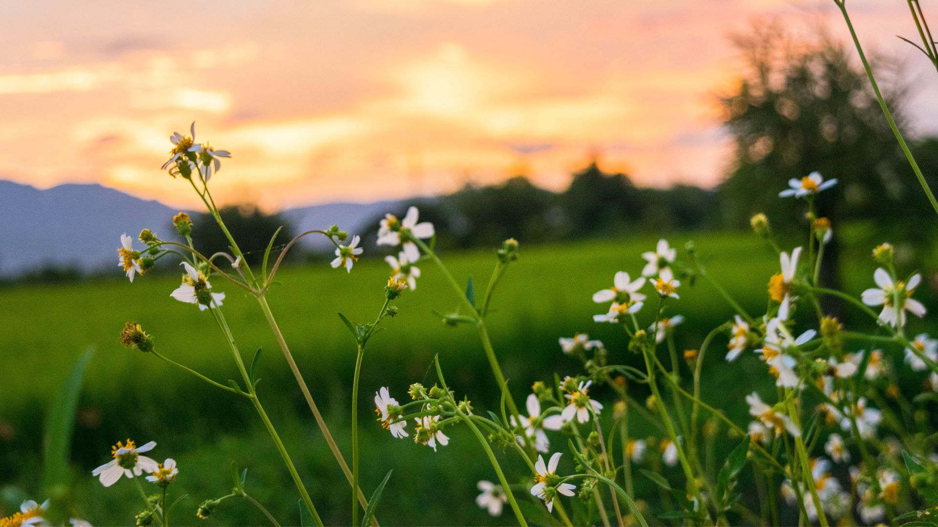 camping environnement auvergne