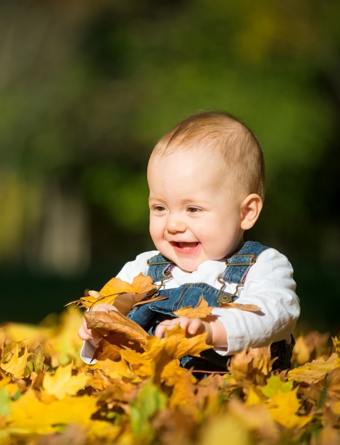 services du camping auvergne